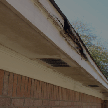 Untitled design (3) Untitled design (3)